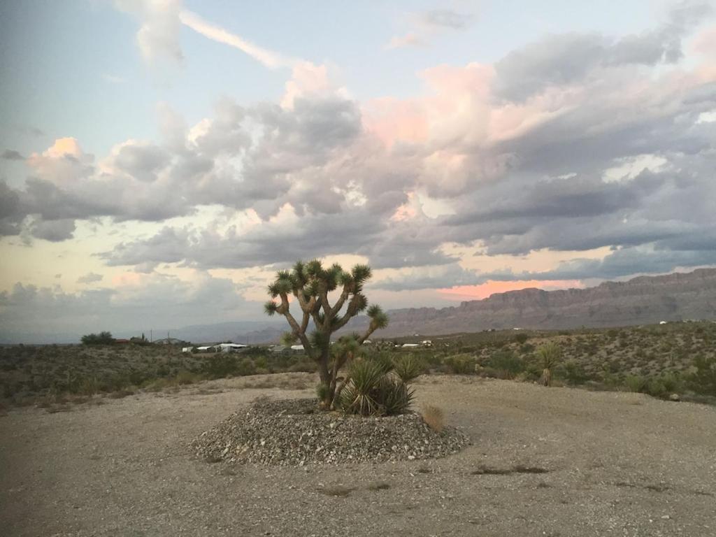Amazing Views Near Grand Canyon Skywalk Meadview Bagian luar foto